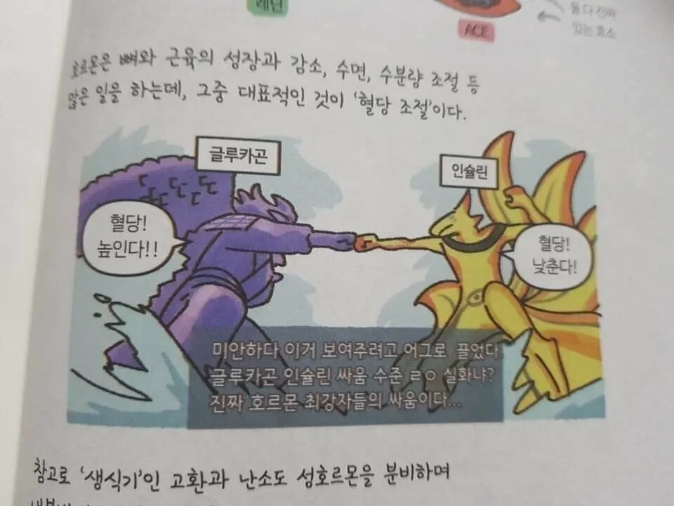 상품 설명