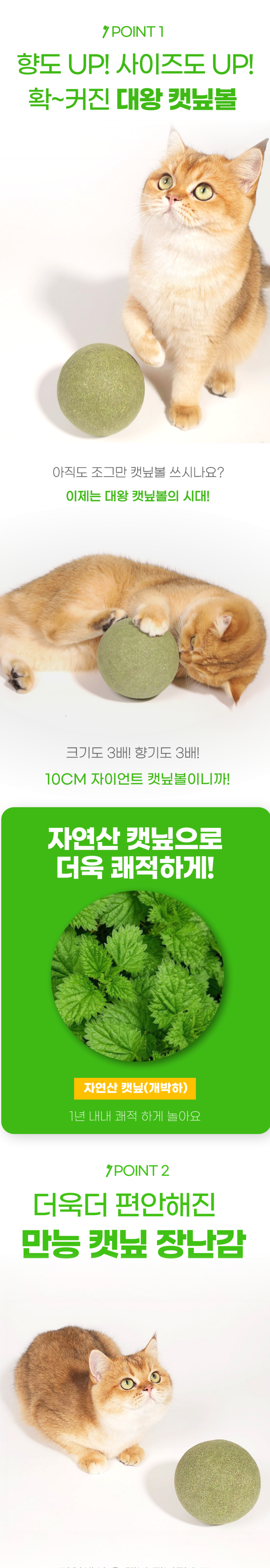 상품 설명