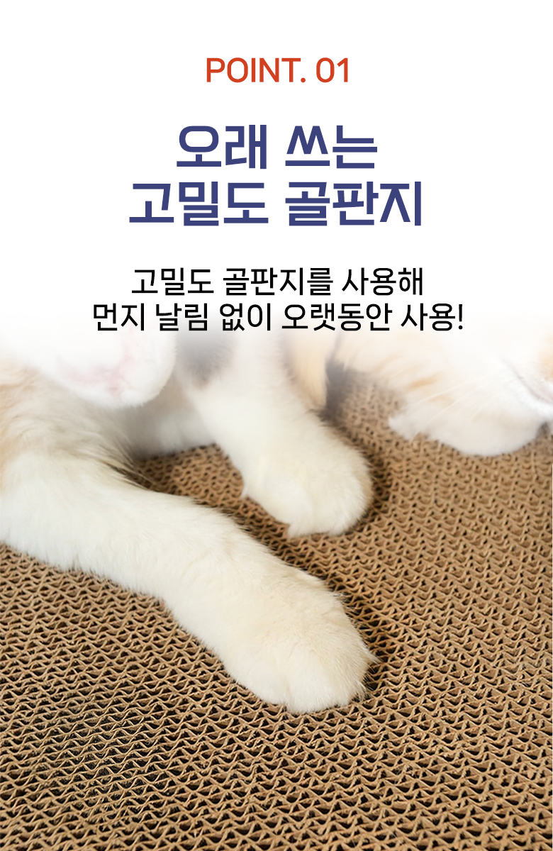 상품 설명